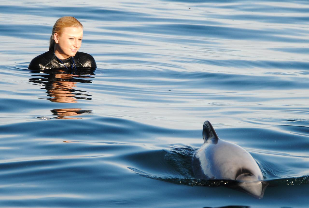 Akaroa Swimming with Dolphins - Small Group Tour - Photo 1 of 25